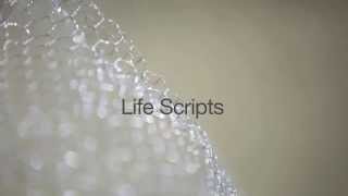 assignment#3 - LIFE SCRIPTS
