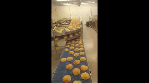 Pita & Arabic Bread Line