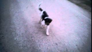 WP 20140409 004
