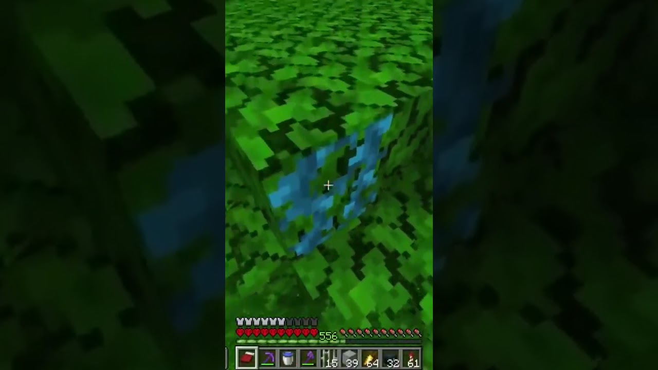 Синие лозы в моем хардкорном мире???