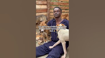 Please don’t scroll my engagement is low a single donation can help our dogs get food 🍱 🙏