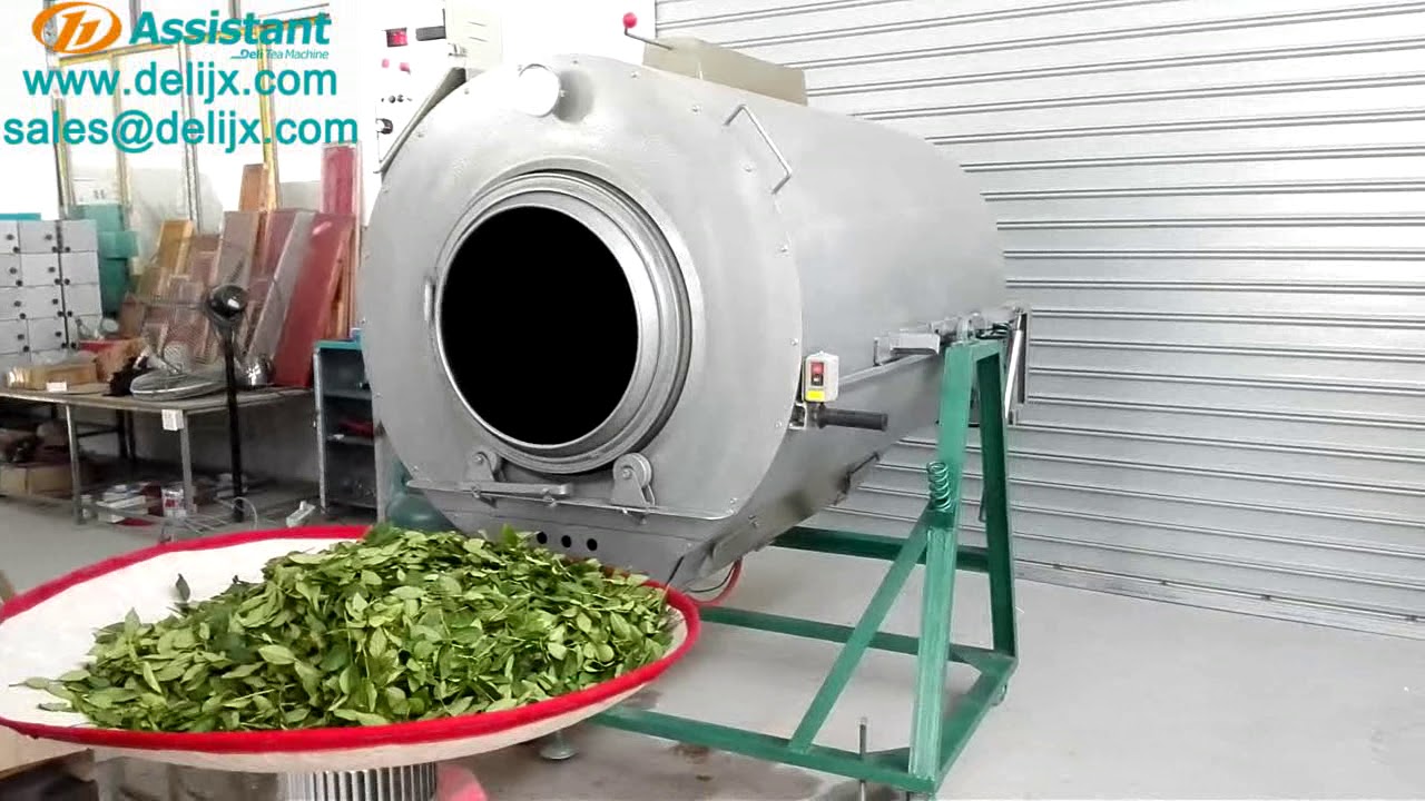 Green tea leaf steaming fixation machine and tea leaves roller kneading