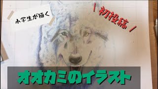 小5が描く】初投稿！狼の色鉛筆画| イラストメイキング｜|illustration