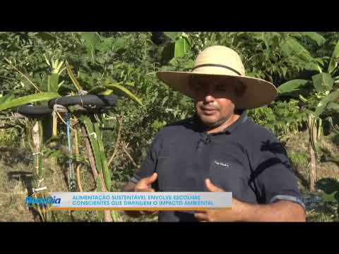 Alimentação sustentável envolve escolhas conscientes e baixo impacto ambiental 04 04 2024