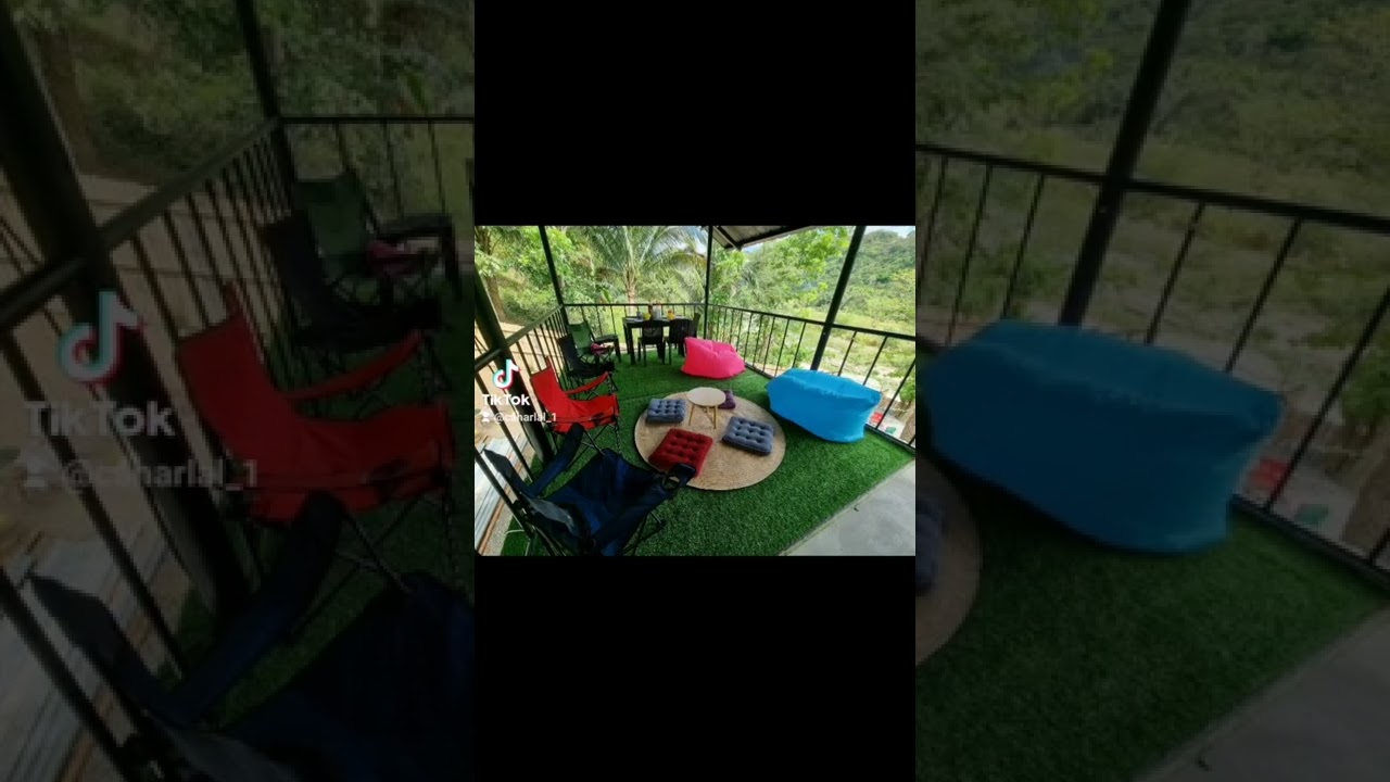 All About Artificial Grass Carpet