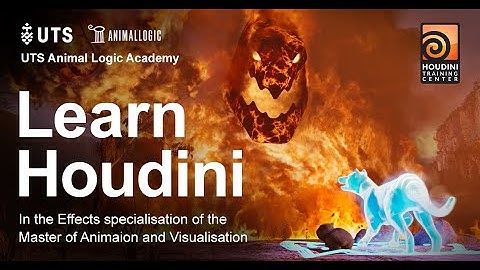 Learn Houdini in the Effects Specialisation of the Master of Animation and Visualisation