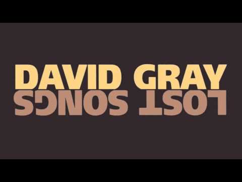 David Gray - January Rain (Instrumental)