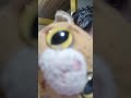 Destaque ao vivo