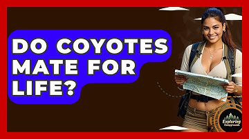 Do Coyotes Mate For Life? - Exploring Campgrounds