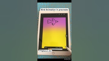 Bird Animation in Procreate #shorts #fun #animation #drawing
