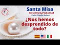 Santa Misa en la Divina Voluntad | Misión Ruah