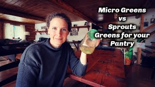 Affordable Greens for Your Pantry | Micro Greens vs Sprouts