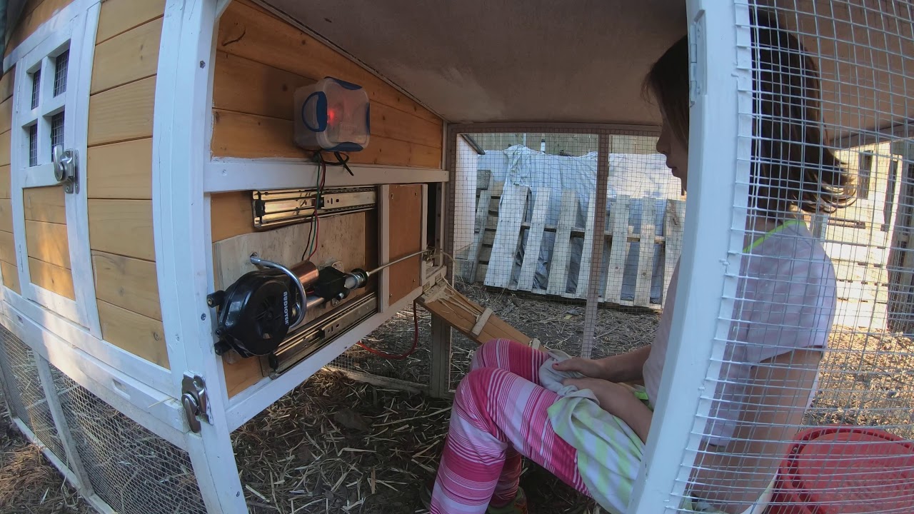 Automatic Coop Door - YouTube