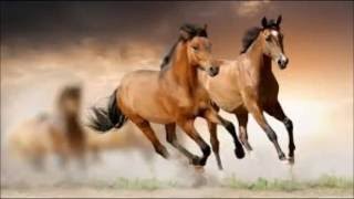 Мохито–Не беги от меня Мохито–Не беги от меня