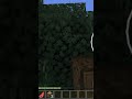 Playing a copy version of minecraft