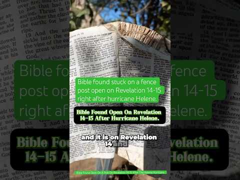 Bible found stuck