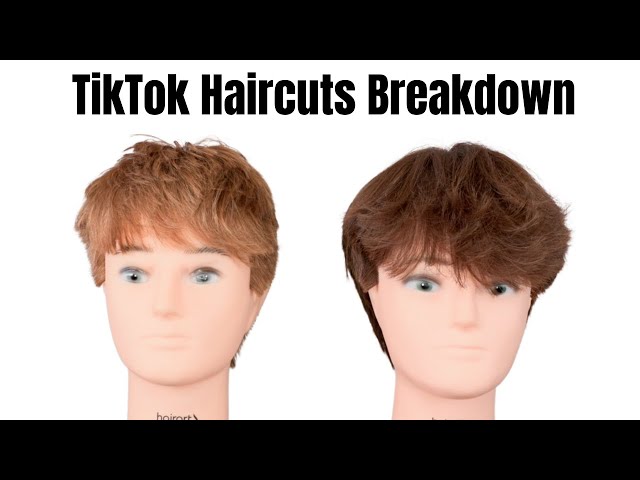 tiktok hairstyles. are they ugly or are they cute styles. or are they just  a mess? : r/Hair