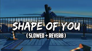 Shape of You [ Slowed + Reverb] Lofi | VishL Lofi | #vishllofi