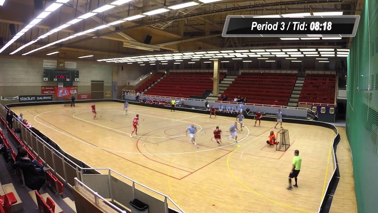 Backadalen Lions - Landvetter Wings (12-8)