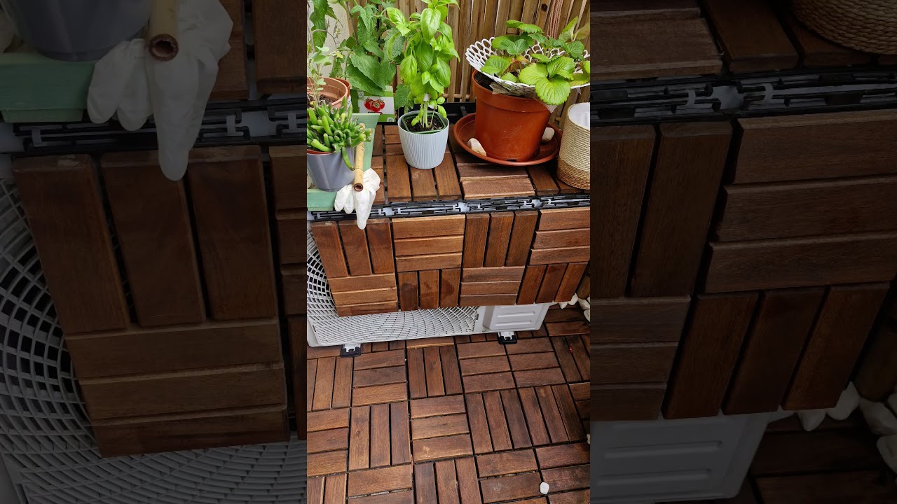 Evolution of a tranquil oasis 