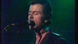 Celebrity Stranglers Hanging Around @ Rock Goes To College, 1978 Net Worth
