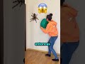 Intentó atraparla… y cometió un GRAN error 😱🕷️