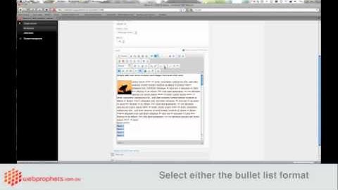 DRUPAL-BULLET POINTS