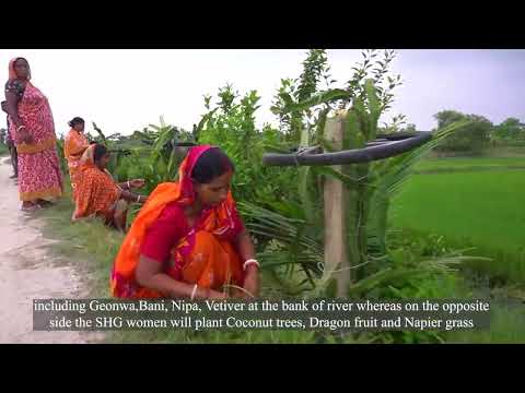 Mukti |Mukti Green Defense in Sundarbans| Environment and Resilience