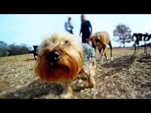 Oito Mãos - Reserva