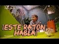 Cámara oculta de niños en El Hormiguero - Juego de ratones