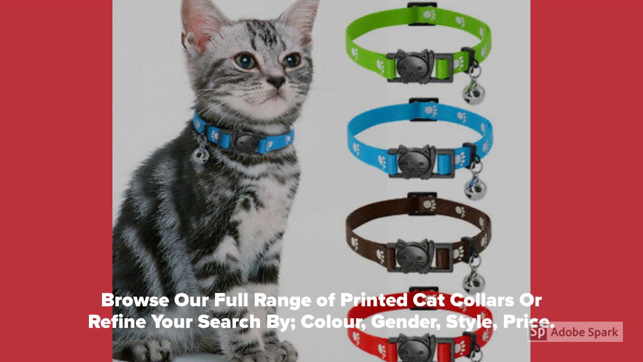 Zacal Cat Collars UK YouTube