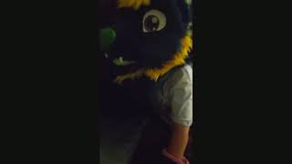 Fursuit Thief