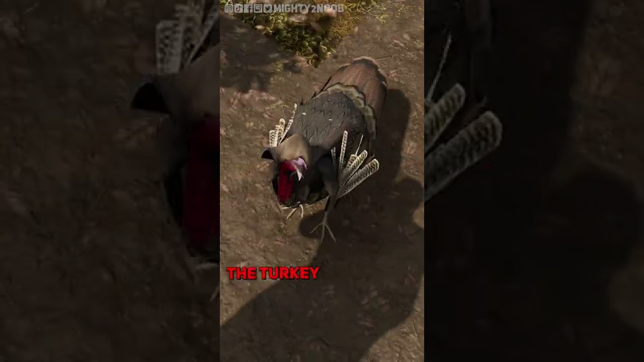 Did you Know about the Turkey Assassin in Assassin's Creed 3