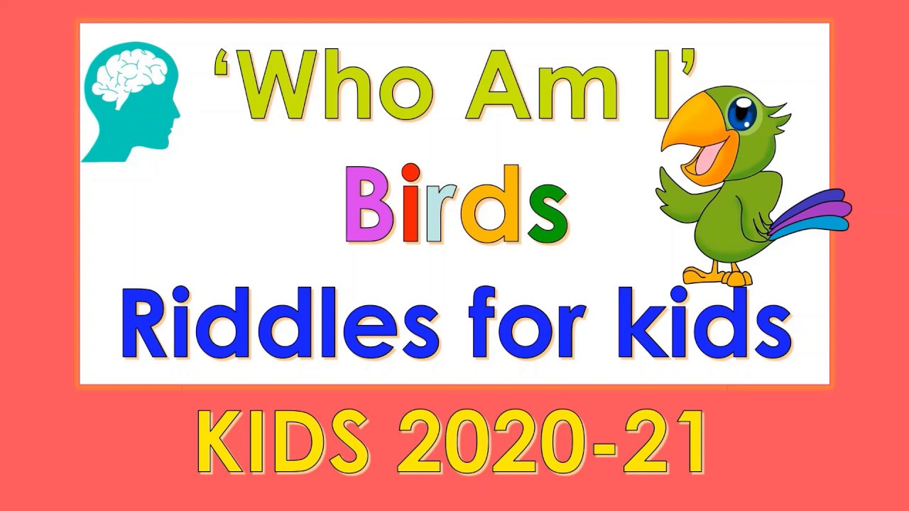 Birds Riddles for kids | Who Am I? Riddles | Kids Riddles | KIDS 2020-21 |  KFM - YouTube