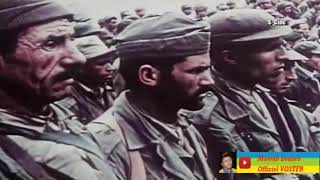 Matoub Lounes Chante La Bleuite Et Laprès Guerre Traduction Officielle