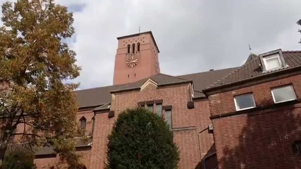 Holweide in Motion 2