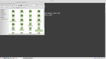 Mounting Server Shares and Home Directories with Linux Mint
