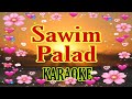 Karaoke Song - Sawim Palad