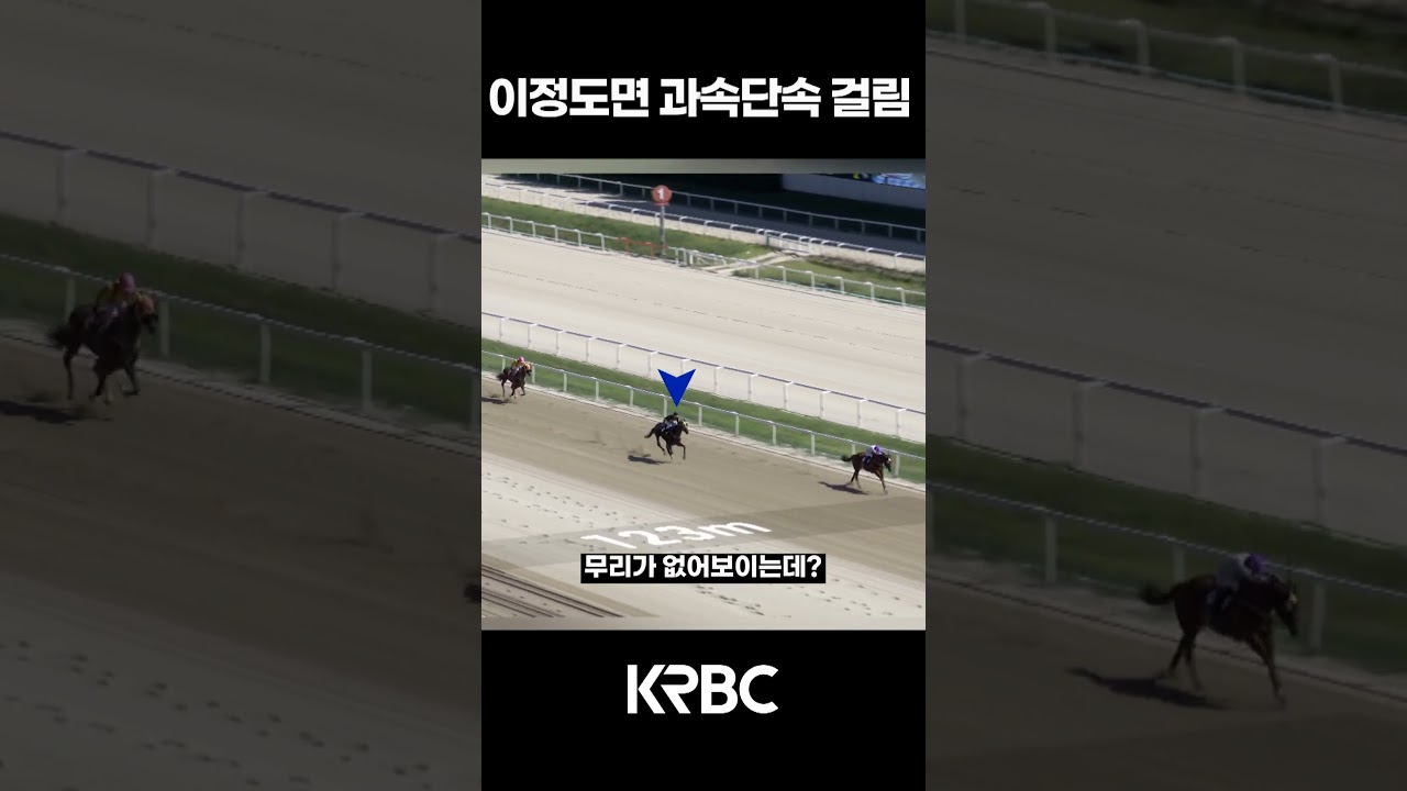 100m 앞 과속단속 구간입니다. #shorts #경마방송 #기수 #경주마 #경마 #KoreaHorseRacing