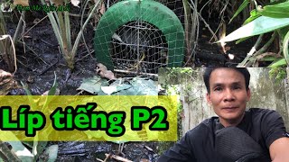 Tiếng Quốc mồi -năm 2021-Dùng kẹp loa bắt trống thời điểm này P2