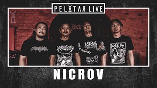 Nicrov // PELATAR LIVE