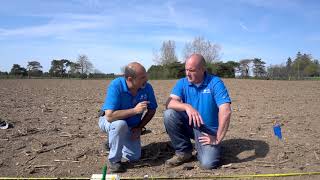 Maizex Moving - Early Corn Evaluation