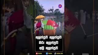 කුලප්පුව කුලප්පුව මරු කුලප්පුව අලි කුලප්පුව