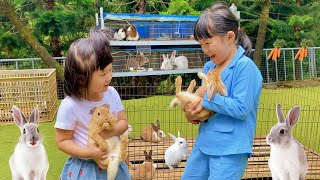 Gendong Kelinci dan Marmut Lucu  Kasih Makan Binatang Lucu