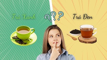 Khác Biệt Giữa Trà Xanh và Trà Đen.