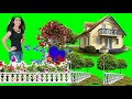 Greenfull background green screen vfx wedding andeffects