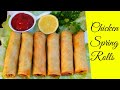Chicken and vegetables mixed spring roll recipe  chicken roll recipe  chinese spring roll recipe