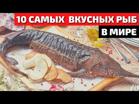 Видео: Какие копченые рыбки самые лучшие?