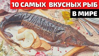 Топ 10 Самой Вкусной и Полезной Рыбы в Мире | Самая Вкусная Рыба | Самая Полезная Рыба - 3 