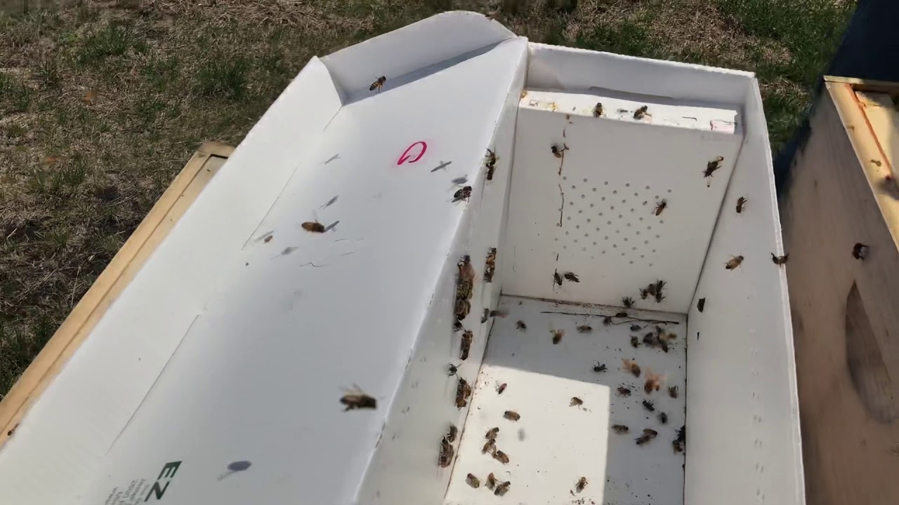 2018 1st NUC Setup Part 1